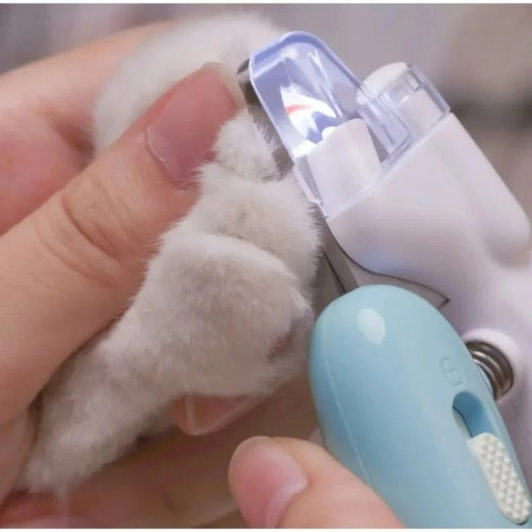 DecorQuintessence™  Happy Paw Clipper